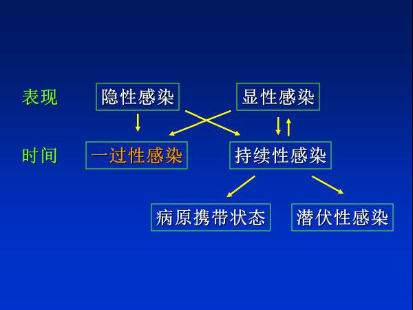 河南新增10例本土确诊病例︰(河南新增本土确诊病例详情公布)-第3张图片