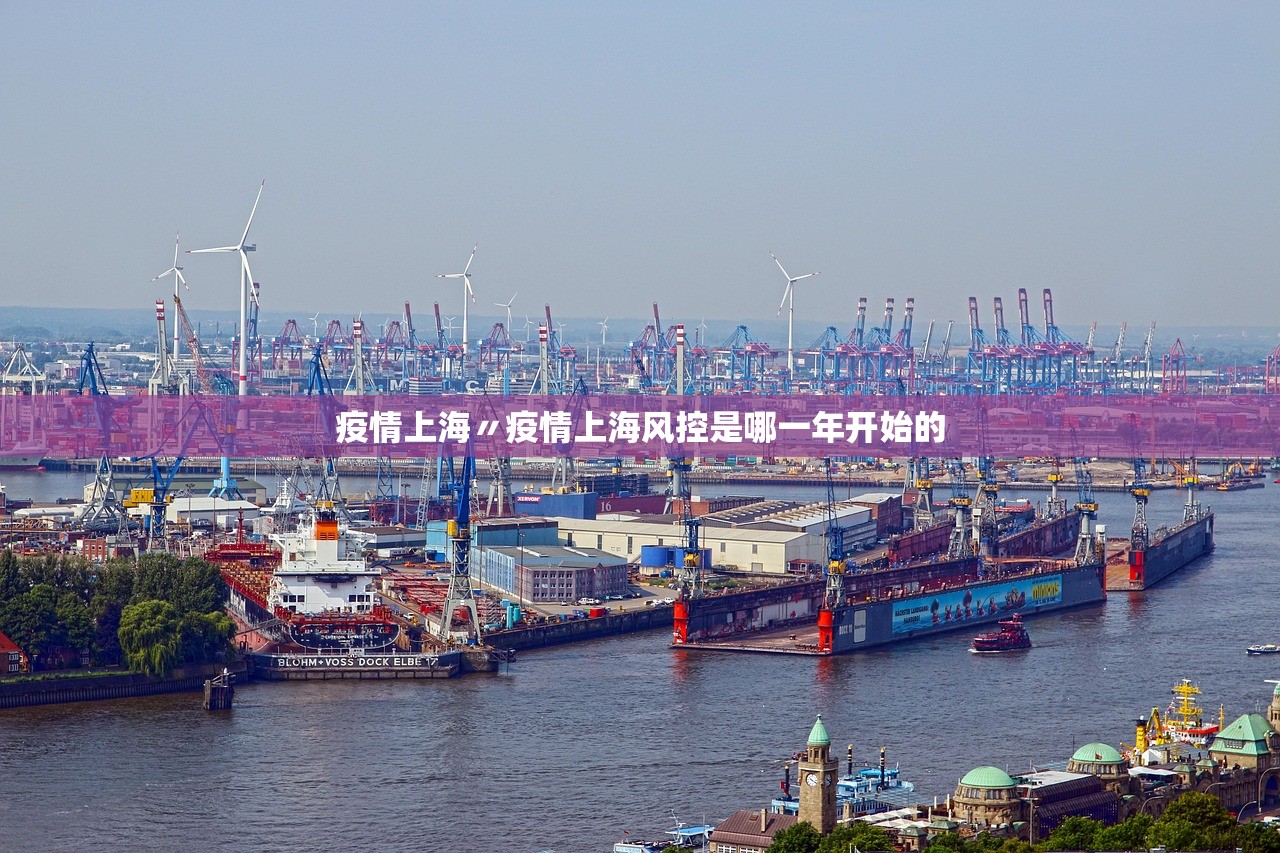 疫情上海〃疫情上海风控是哪一年开始的